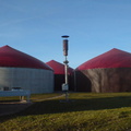2008 01 13 sonnige gr nkohlwanderung zu hennings biogasanlage in helmerkamp 027